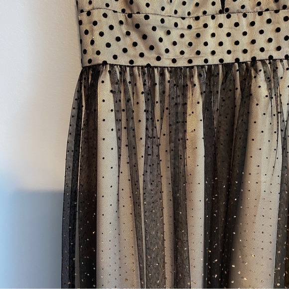 Hailey Logan Cream & Black Lace Gown - Picture 3 of 10